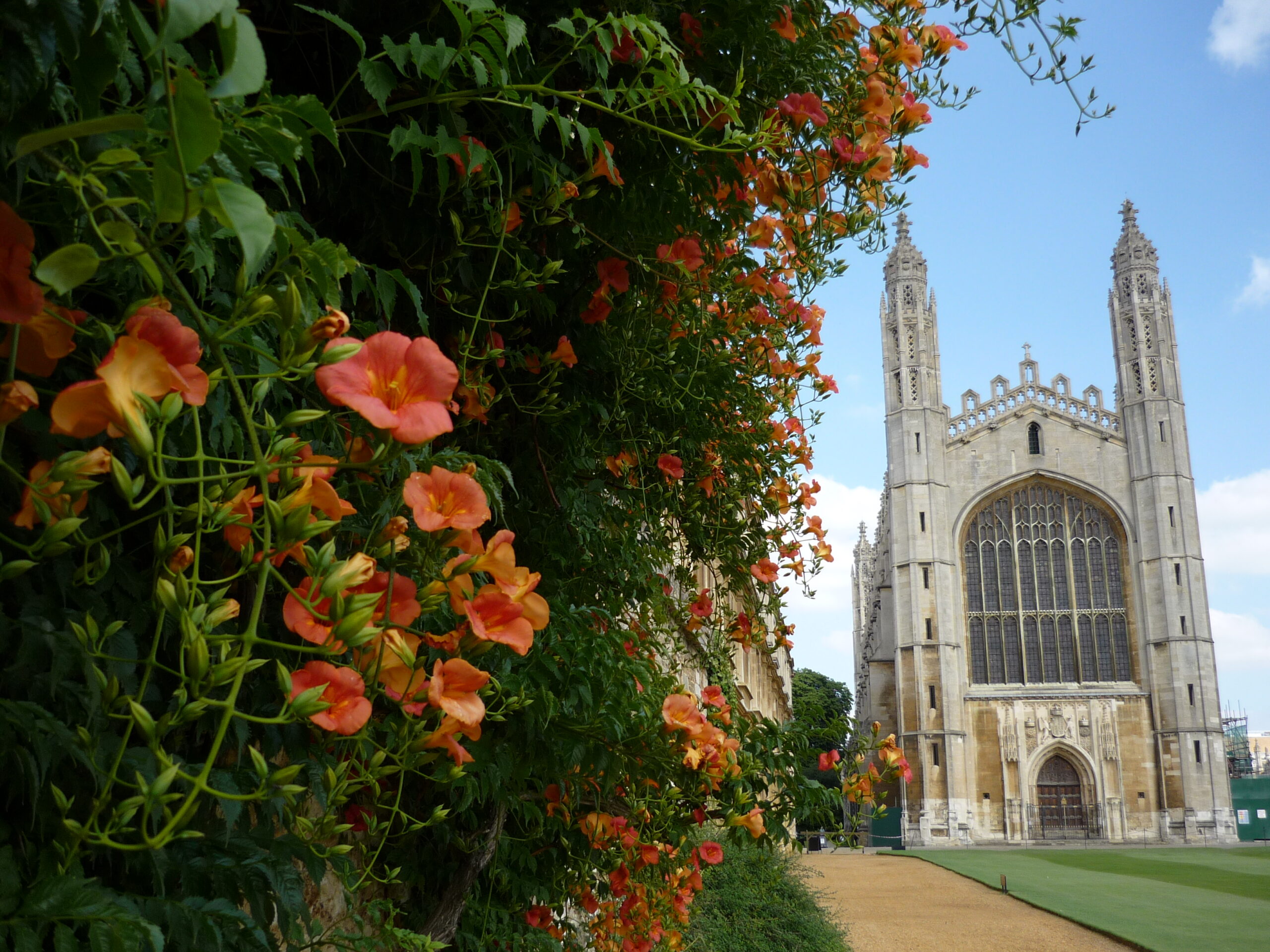 Enter Kings College Chapel